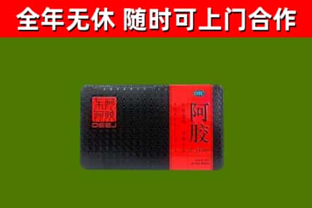柴桑回收阿胶