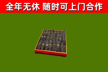 柴桑回收海参